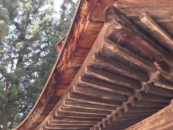 扇垂木