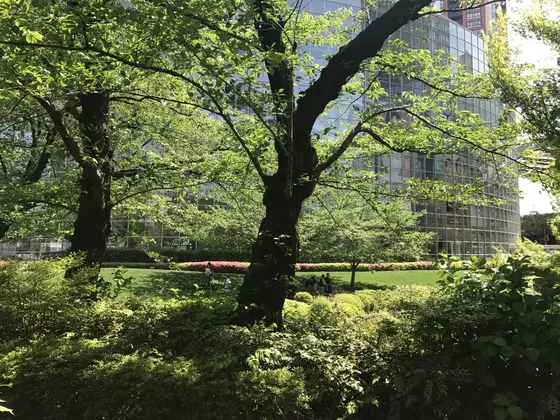 毛利庭園