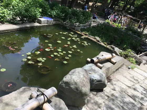 スポット内のおすすめ