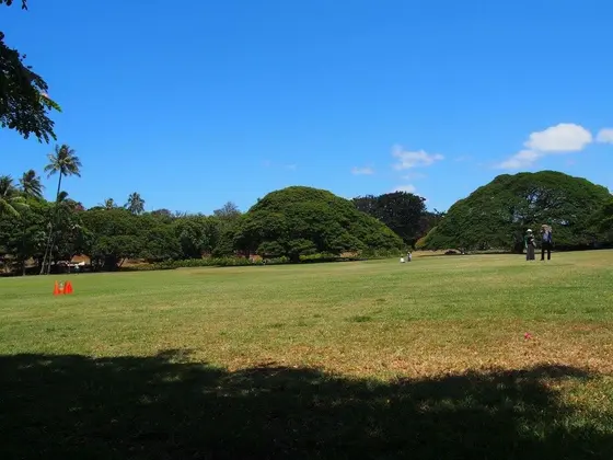 広大な敷地