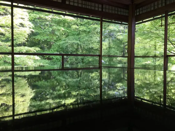 写真を撮る手が止まらない……📷！！