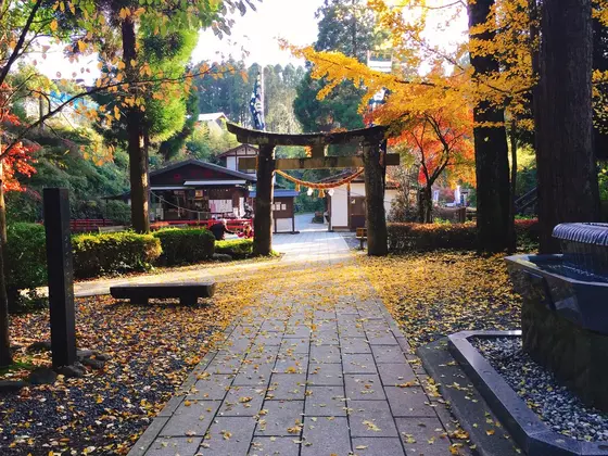 周辺環境も最高です。