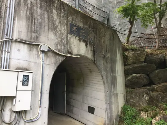 入り口はホラーだが、、