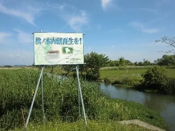 もう一度、内湖を生き物の宝庫に