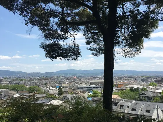 お庭からの眺め