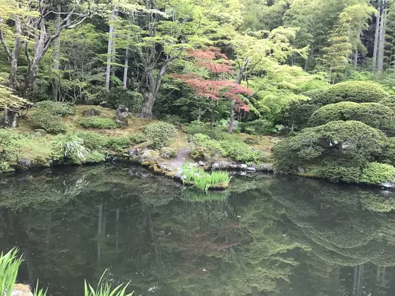 庭園