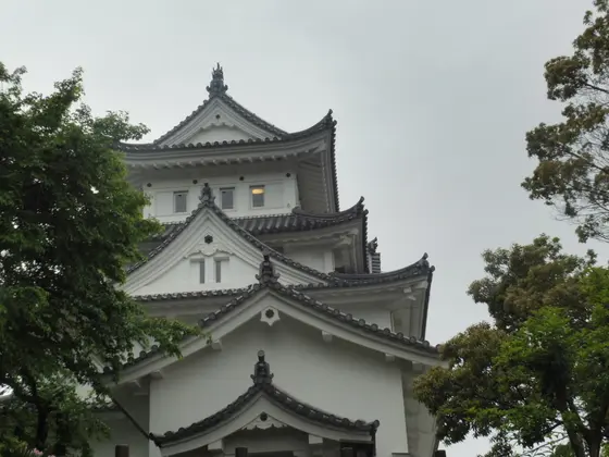 東軍、大垣城を攻略