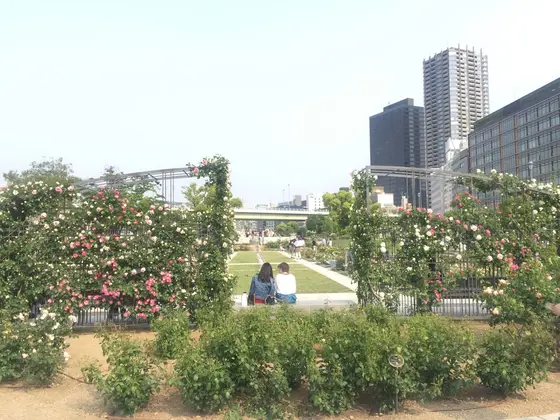 バラ園🌹