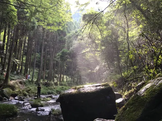 光と風と鳥の声