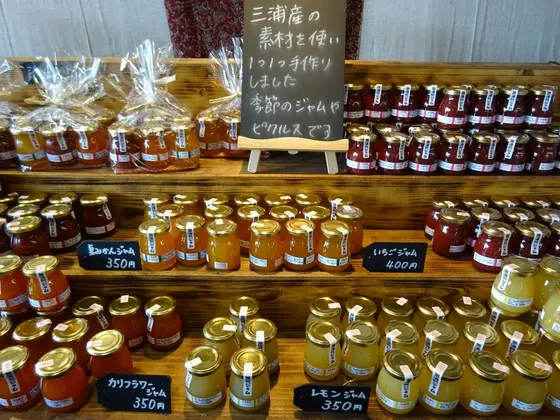 お土産を買うならここで