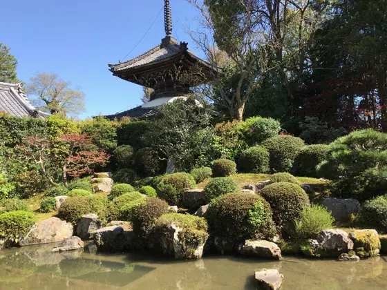 庭園