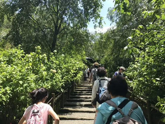 17.06.03はまだこんな感じ