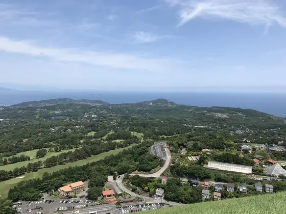緑が広がるー🎶