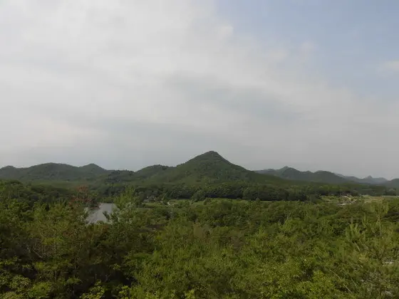 有馬富士