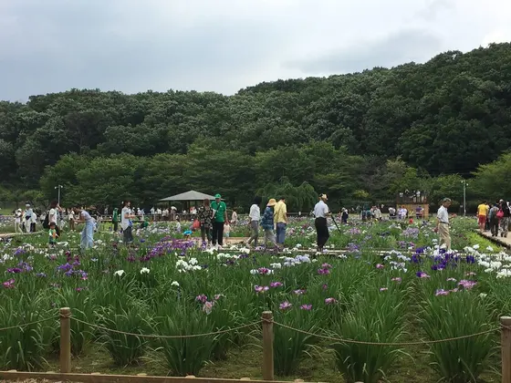 散策