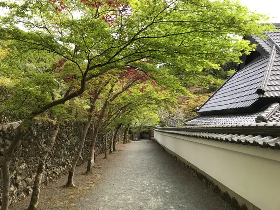 参道