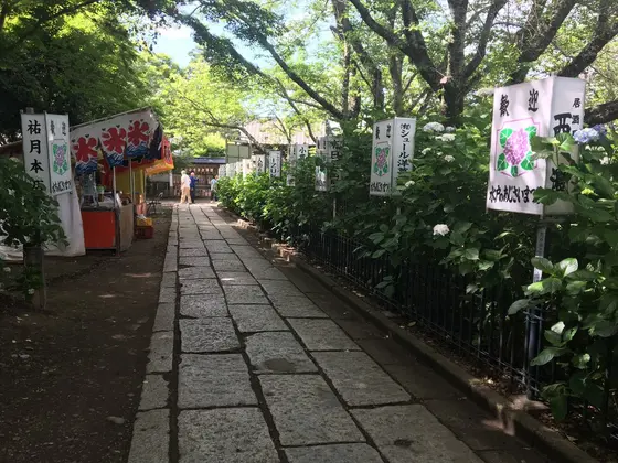 スポット内のおすすめ