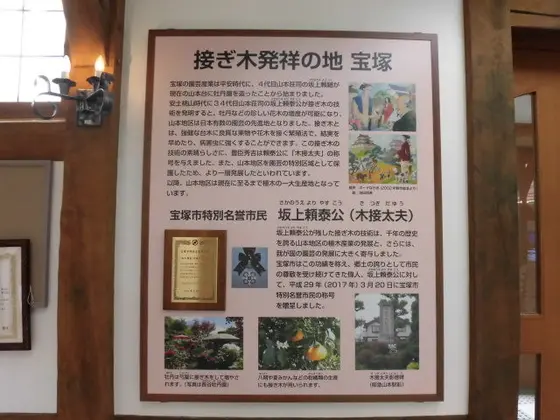 接ぎ木発祥の地　宝塚