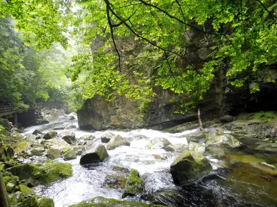 滝めぐりコースはいろいろ
