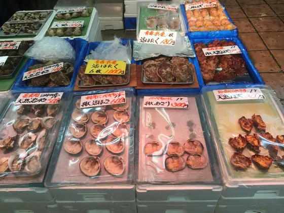 いろんな貝も売っていました