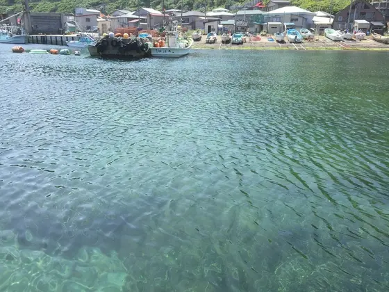海が綺麗です