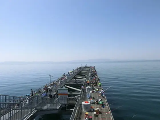 海釣りスポット