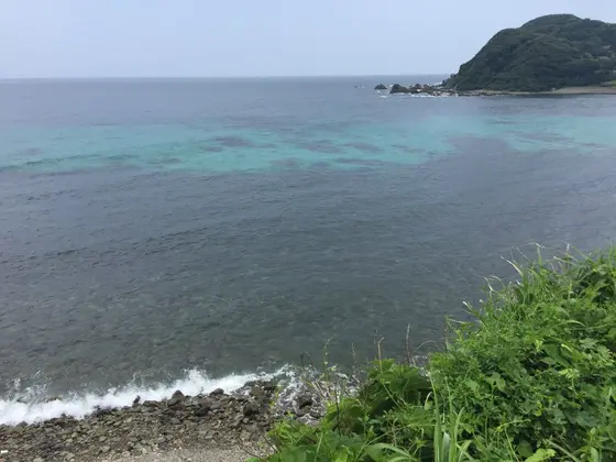 海