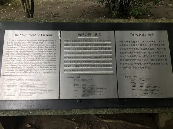 東北大学医学部に留学