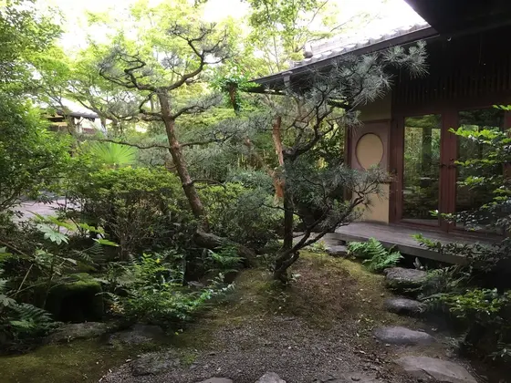 席からの眺め