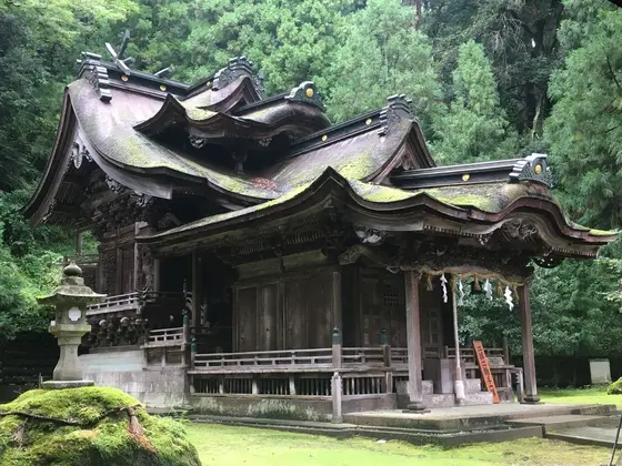 小雨で苔が映える