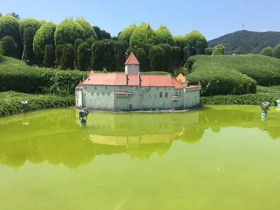 水が濁りすぎ