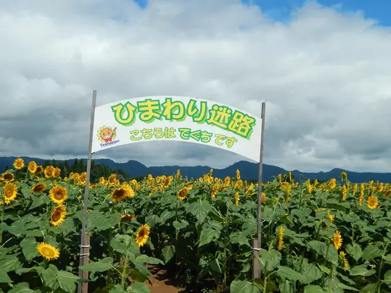 迷路？行ってみるべし！