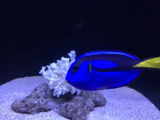 すみだ水族館