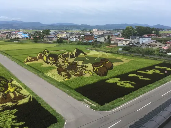 スポット内のおすすめ