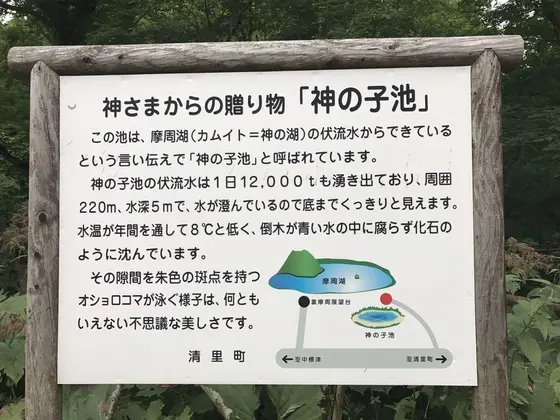 スポット内のおすすめ