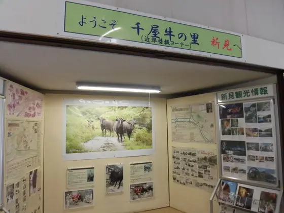 観光案内所