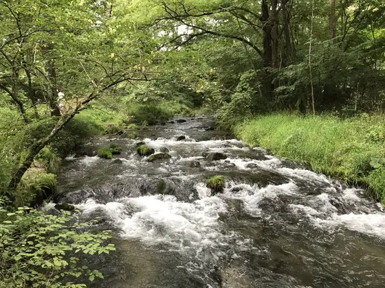スポット内のおすすめ