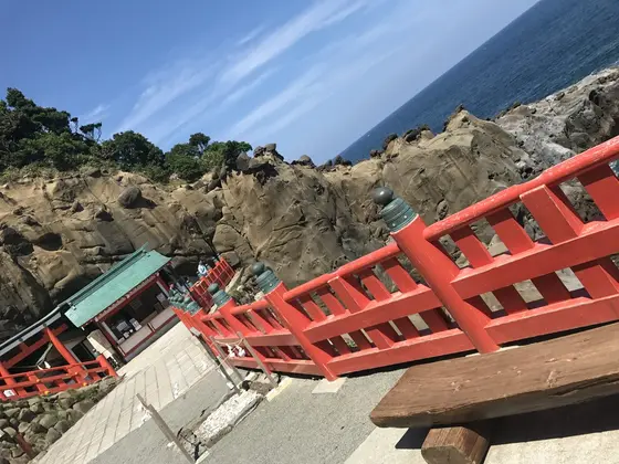 御神籤も引いても楽しくなる