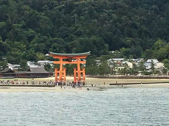 船のルート