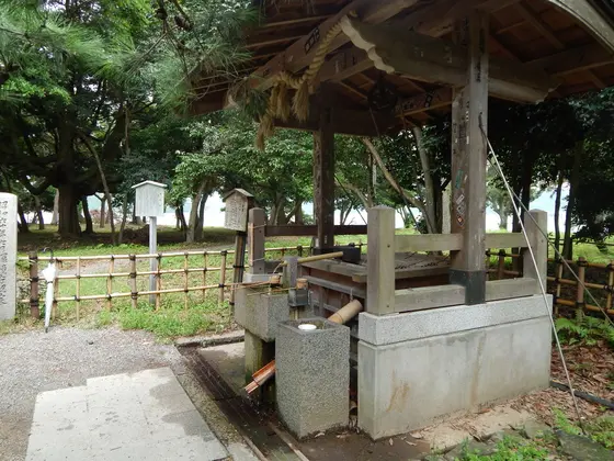 フシギな「磯清水」