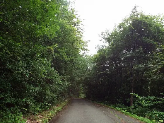 山中へ