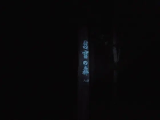 夜