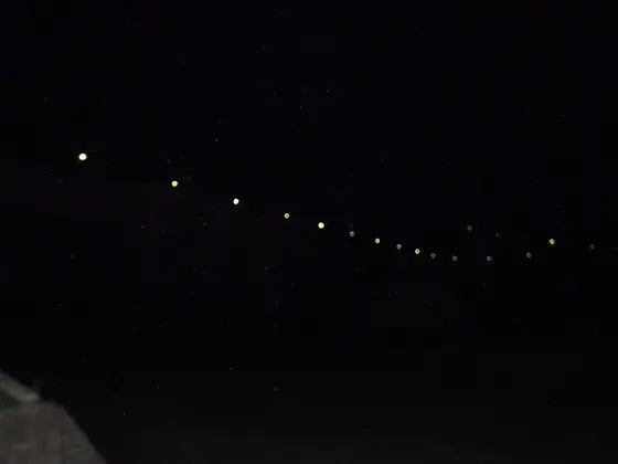 夜