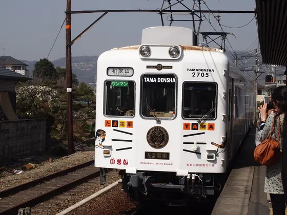 たま電車