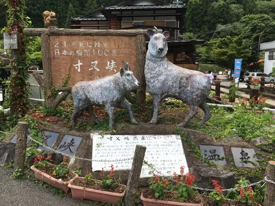 スポット内のおすすめ
