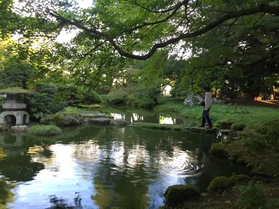 綺麗な庭園