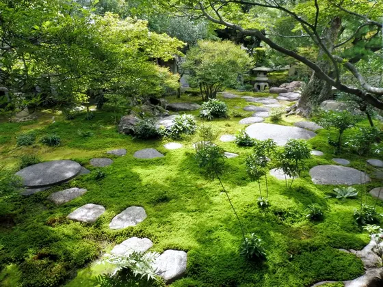 苔の庭が見事です