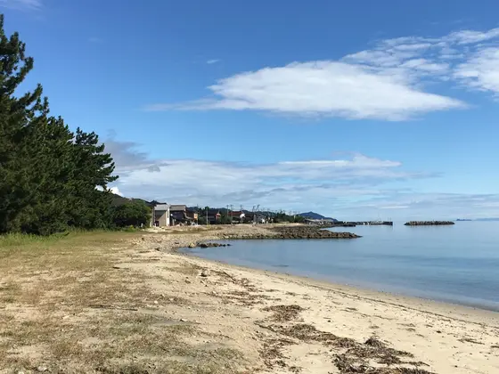 江尻桟橋に続く海岸線
