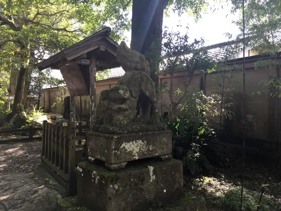 裏参道側の狛犬 阿形