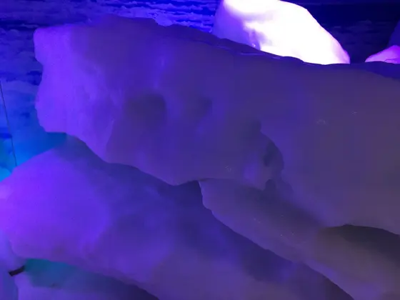 2017年3月に取ってきた実際の流氷